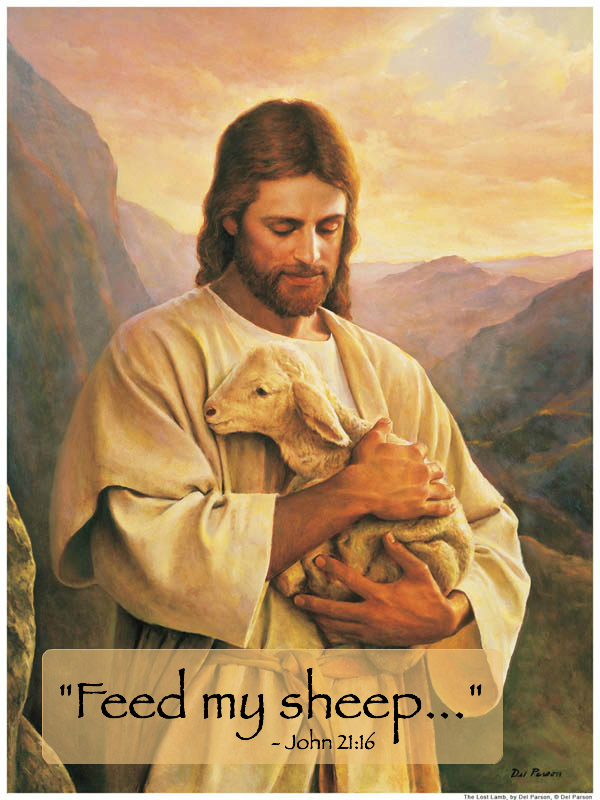 Image result for Jesus said feed my sheep 
